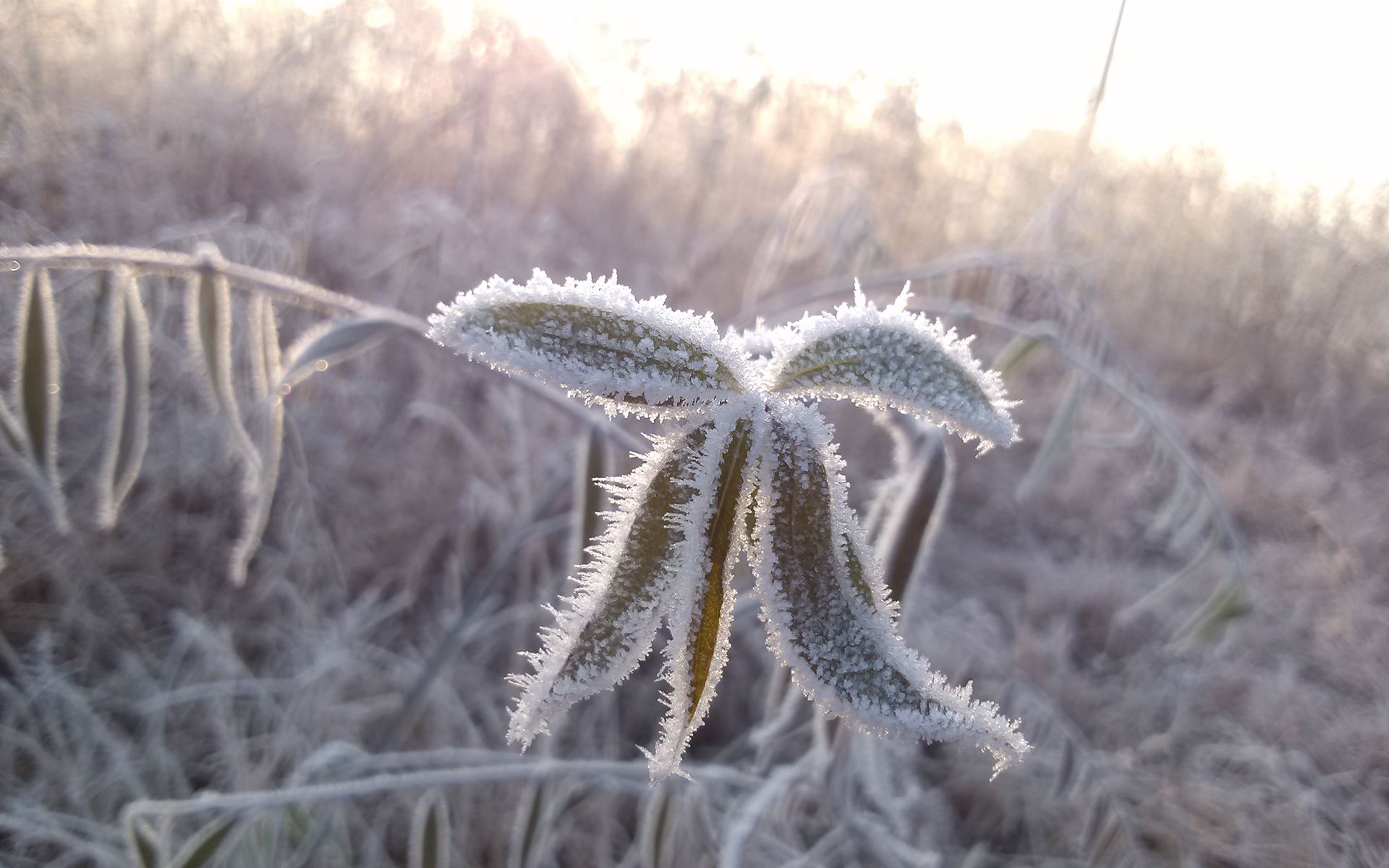 阿里大師水漆